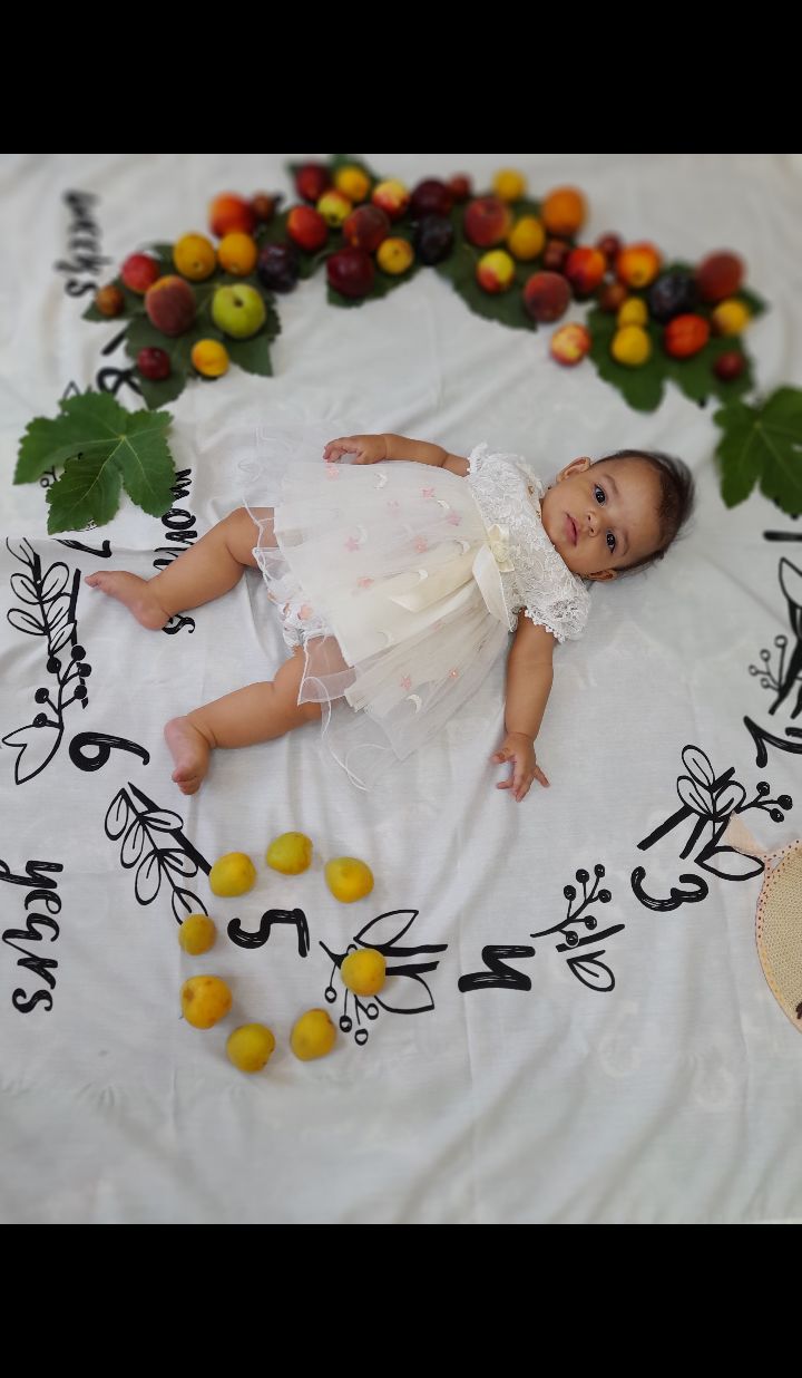 عکاسی با میوه نهال پورصمد