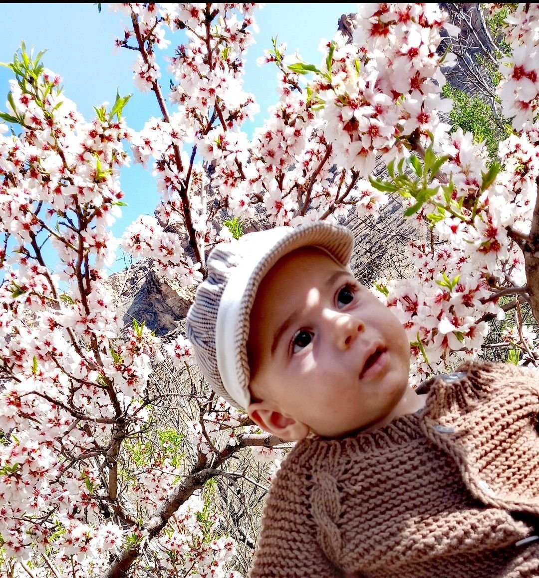 عکس سیزده بدر امیر سام