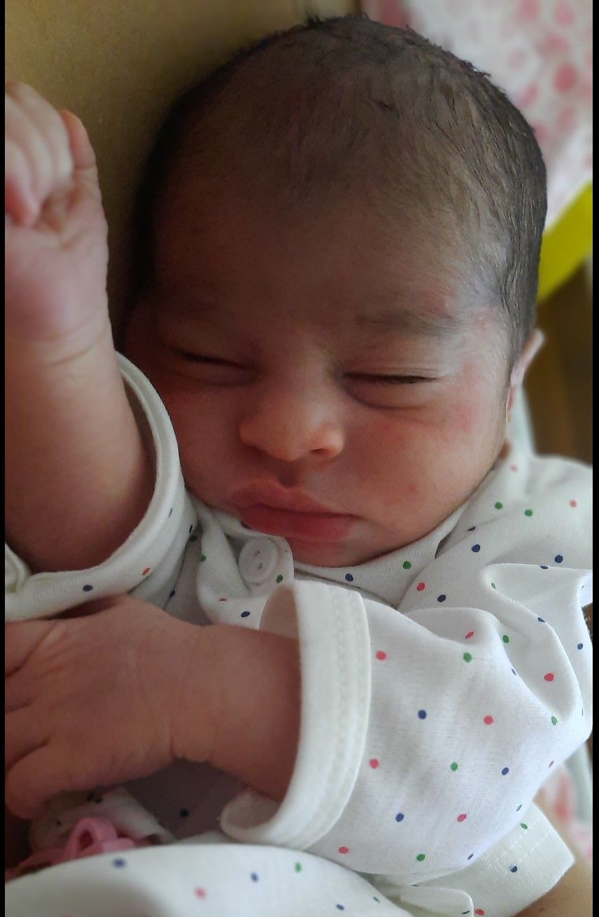 روزاول-زندگی-جدید مهراد