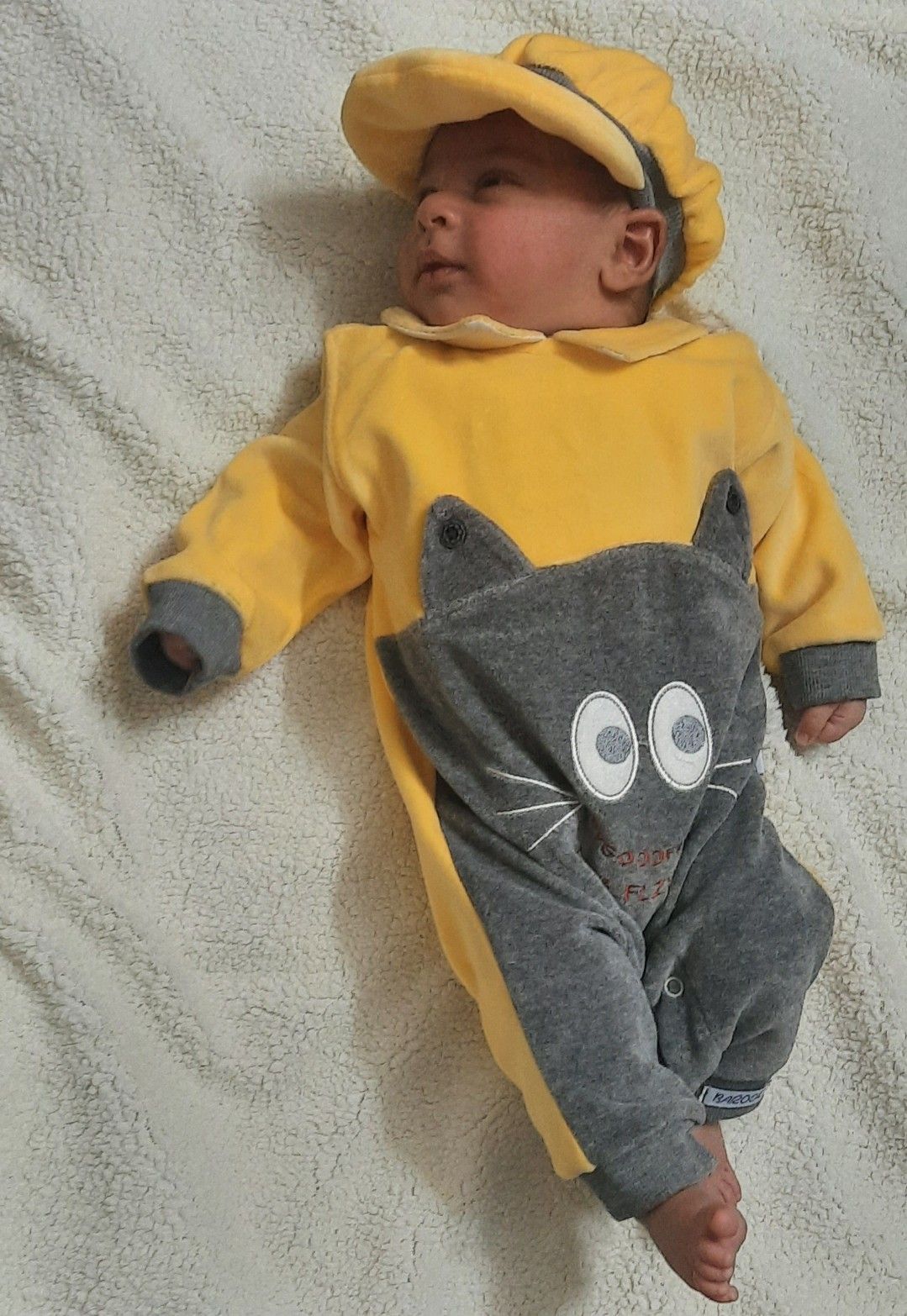 متولد شدن نوزاد مهراد