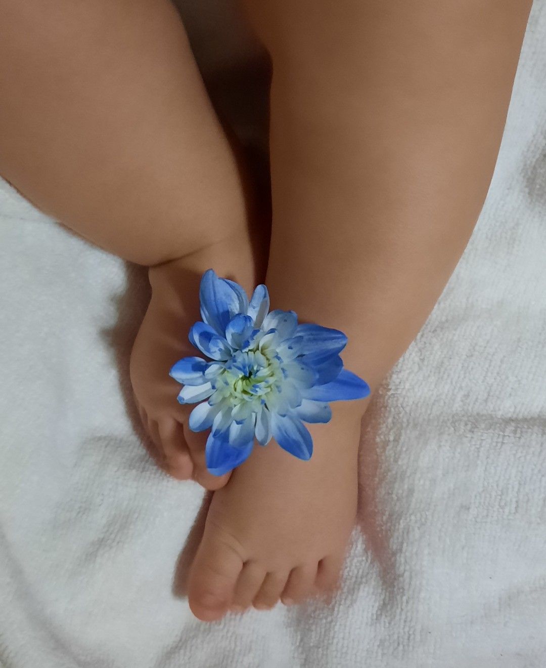 گوگولی مهراد