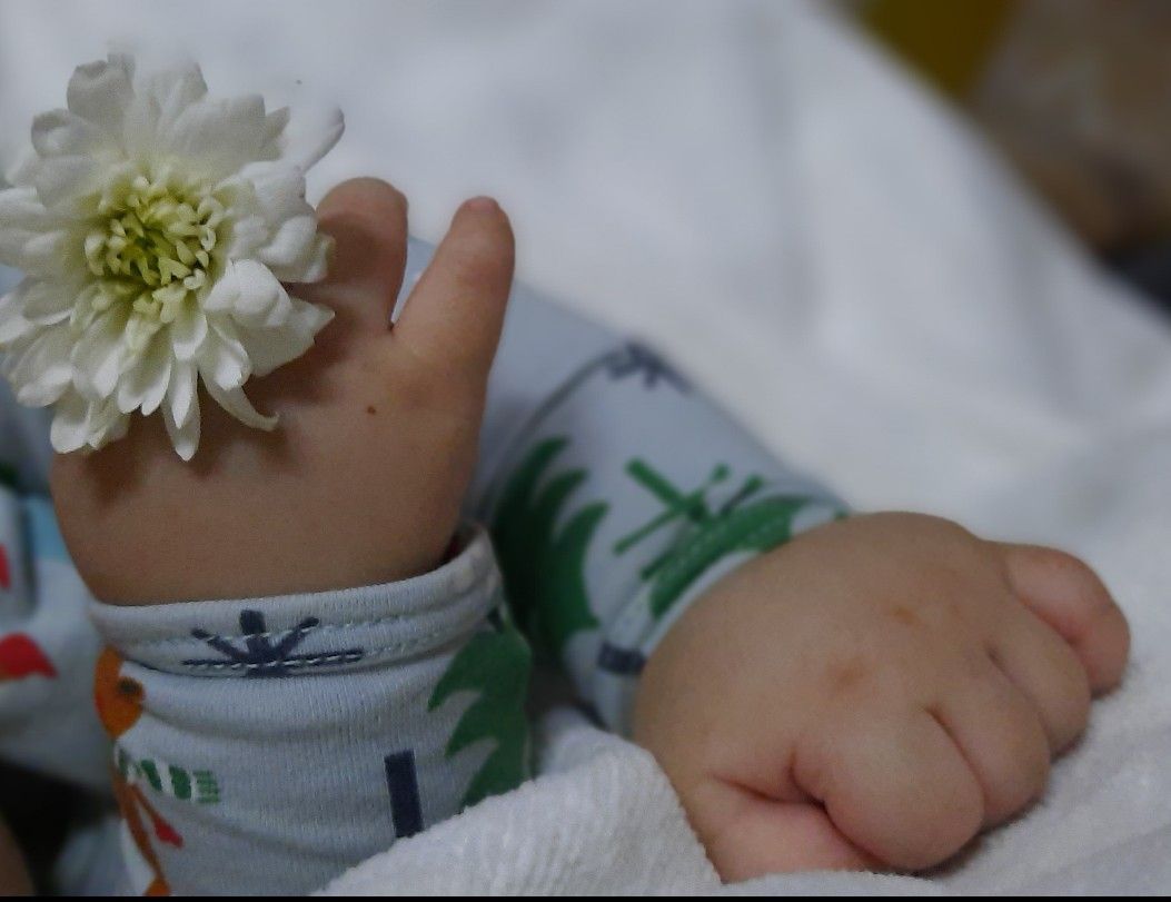 پسر-ناز مهراد