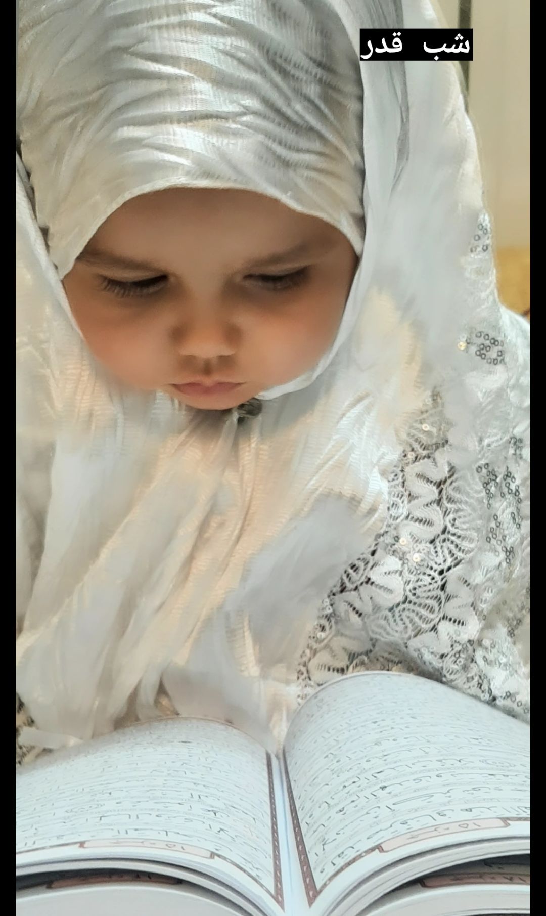 ده ماهگی نوزاد نلین