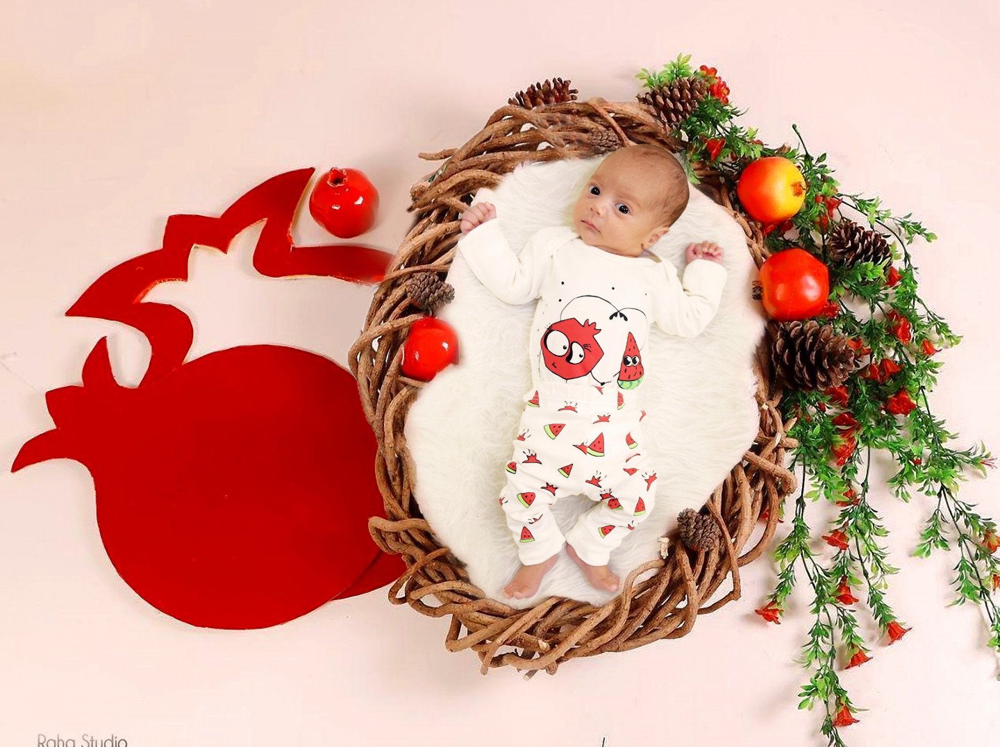 سه ماهگی نوزاد امیرحسین