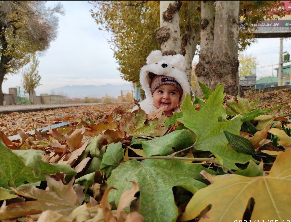 آلبوم-خاطرات-کودکی دلوین داودی