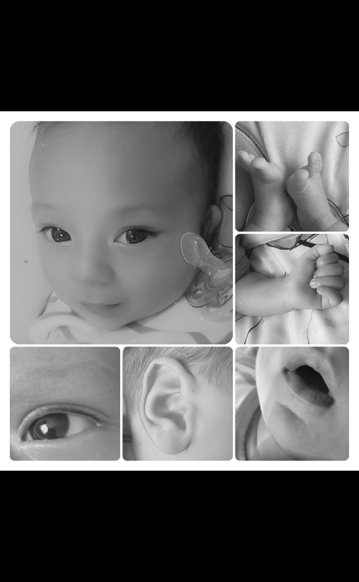 عشق حسام نظری