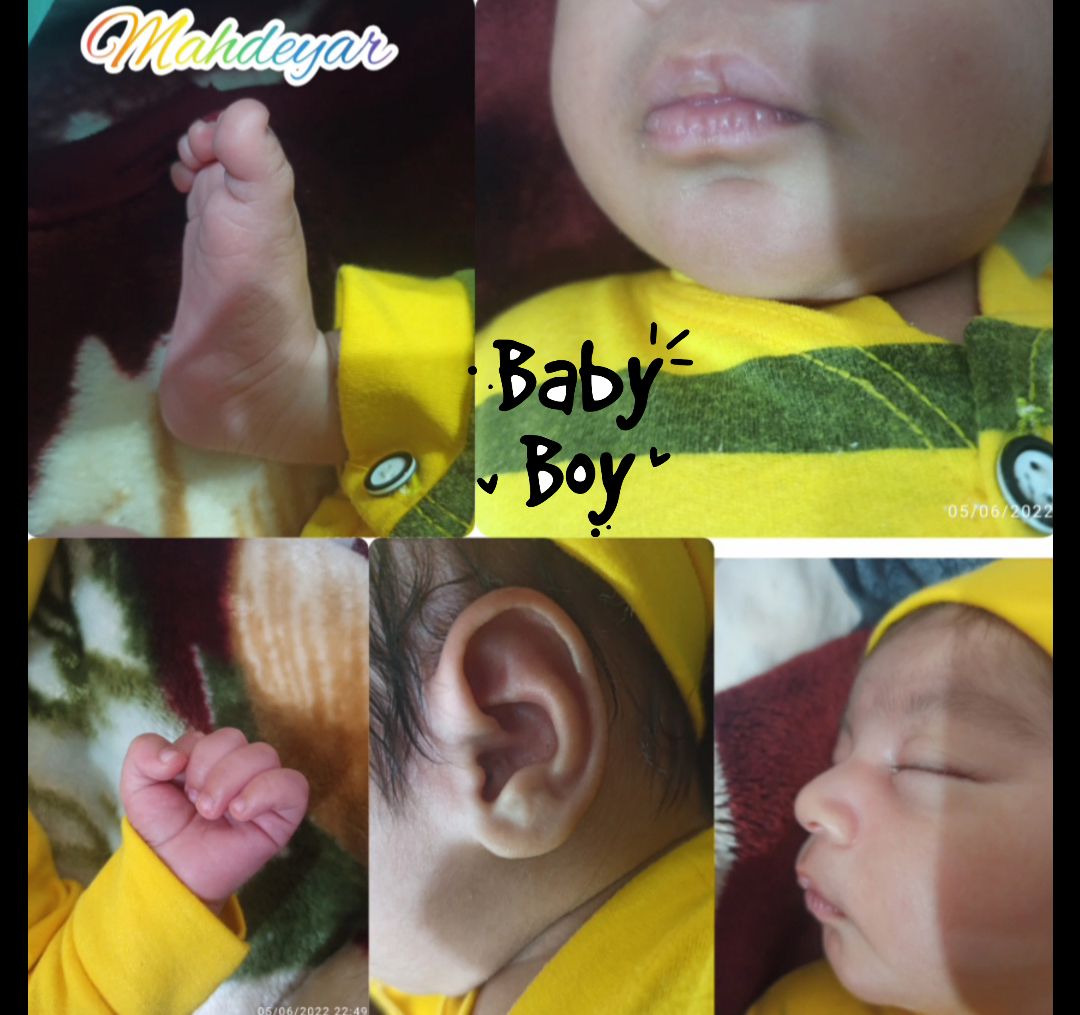 اجزای-صورت محمدمهدیارآزادگرمی