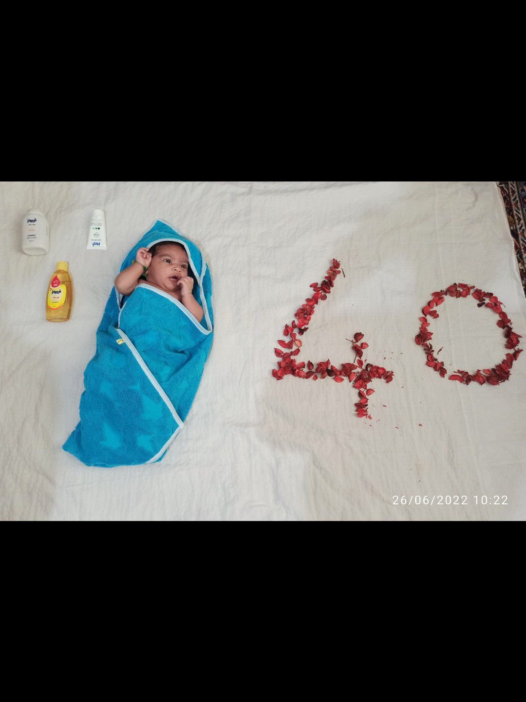 چهل-روزگی محمدمهدیارآزادگرمی