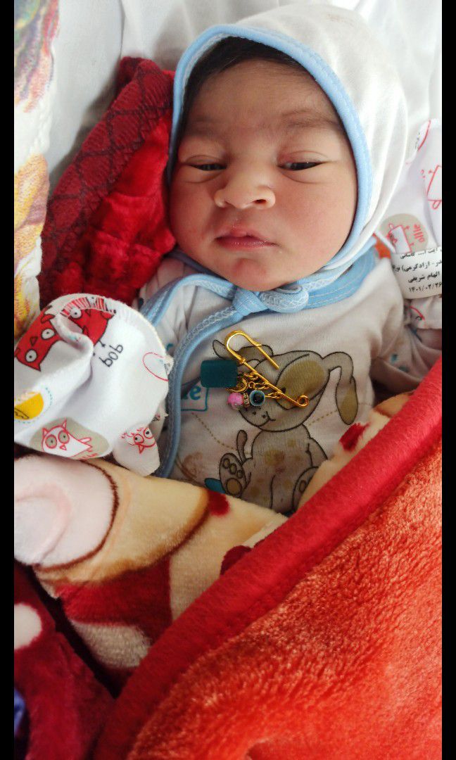 عکس-شناسنامه محمدمهدیارآزادگرمی