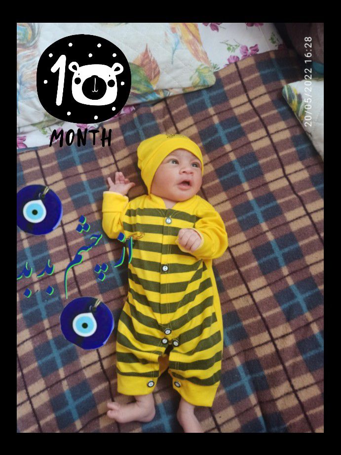 عکس-شناسنامه محمدمهدیارآزادگرمی