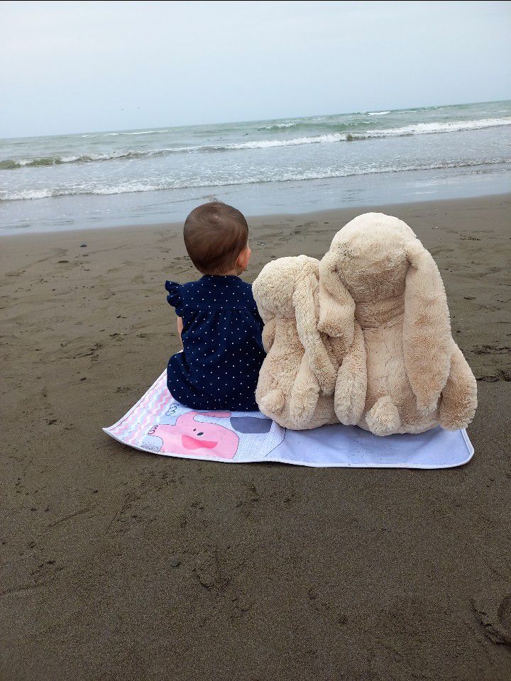 دل-آرا دل آرا دلیریان