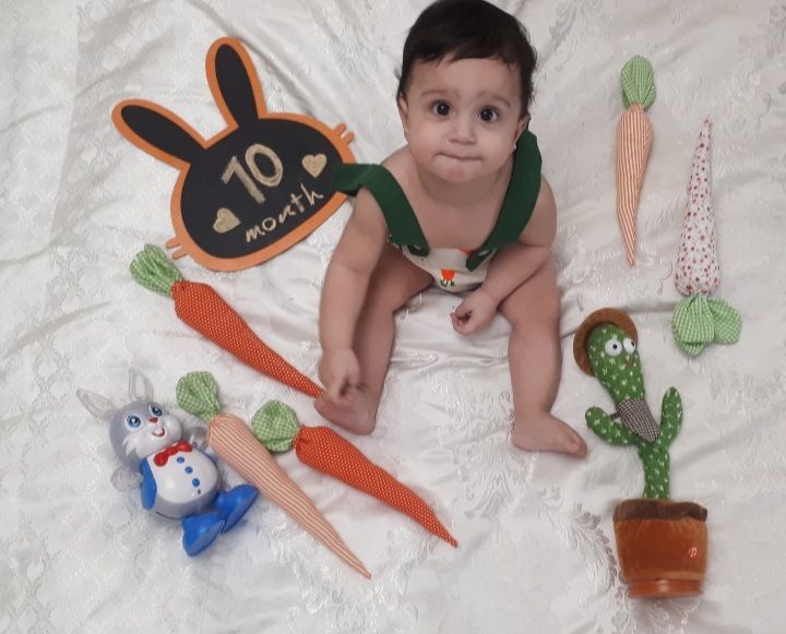 هویج-فانتزی arta arvin