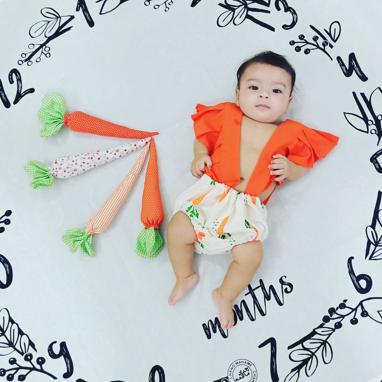 لباس-عکاسی-هویج-پسرانه-58611