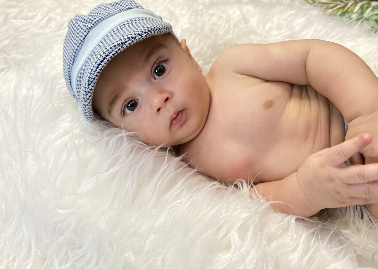 پنج ماهگی نوزاد یاسان نهنگ زاده