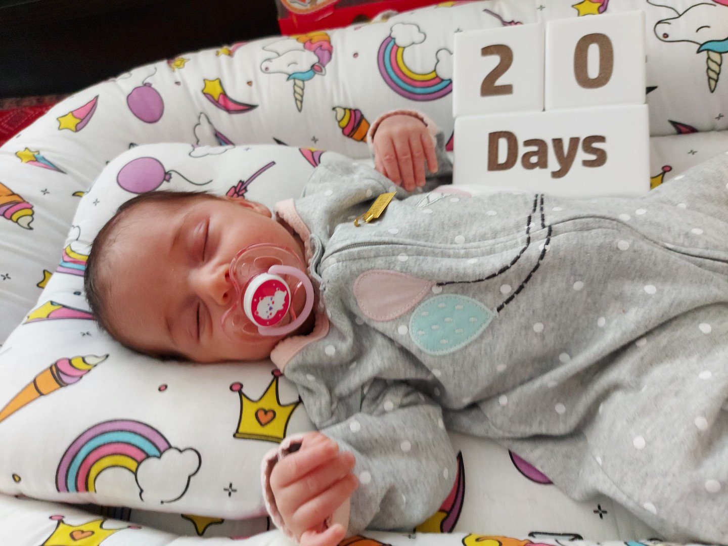 مکعب تاریخ‌شمار شبنم حسن زاده