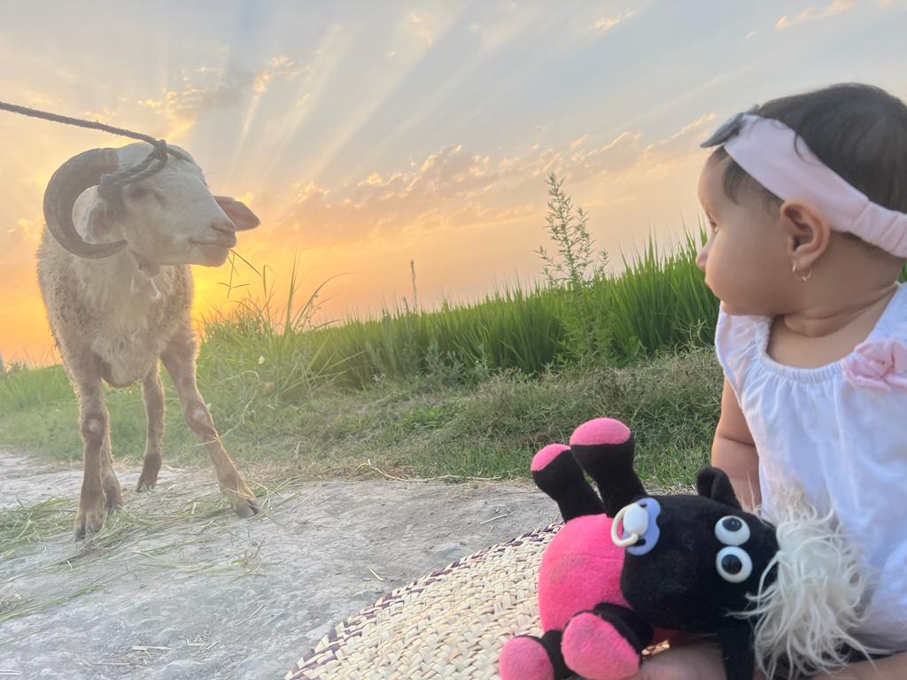 عید قربان مهرا مختاری