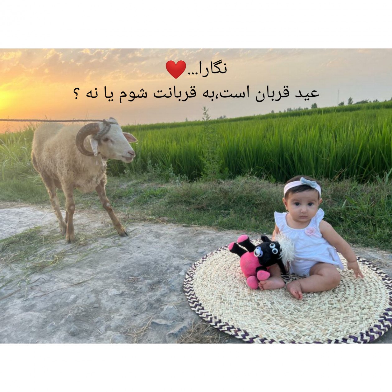 عید قربان مهرا مختاری