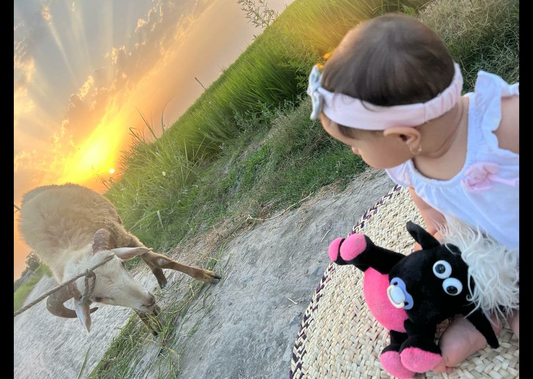 یلدایی مهرا مختاری