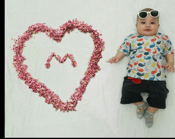 گل-محمدی-گلاب محمد امین