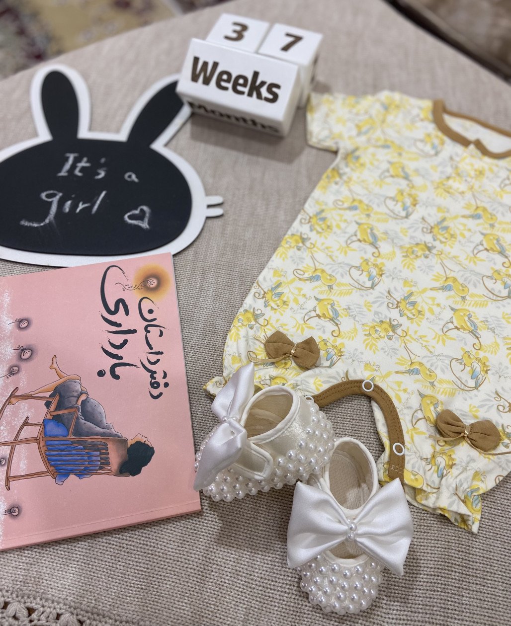 دفتر داستان بارداری نيلا عبدالهي پور