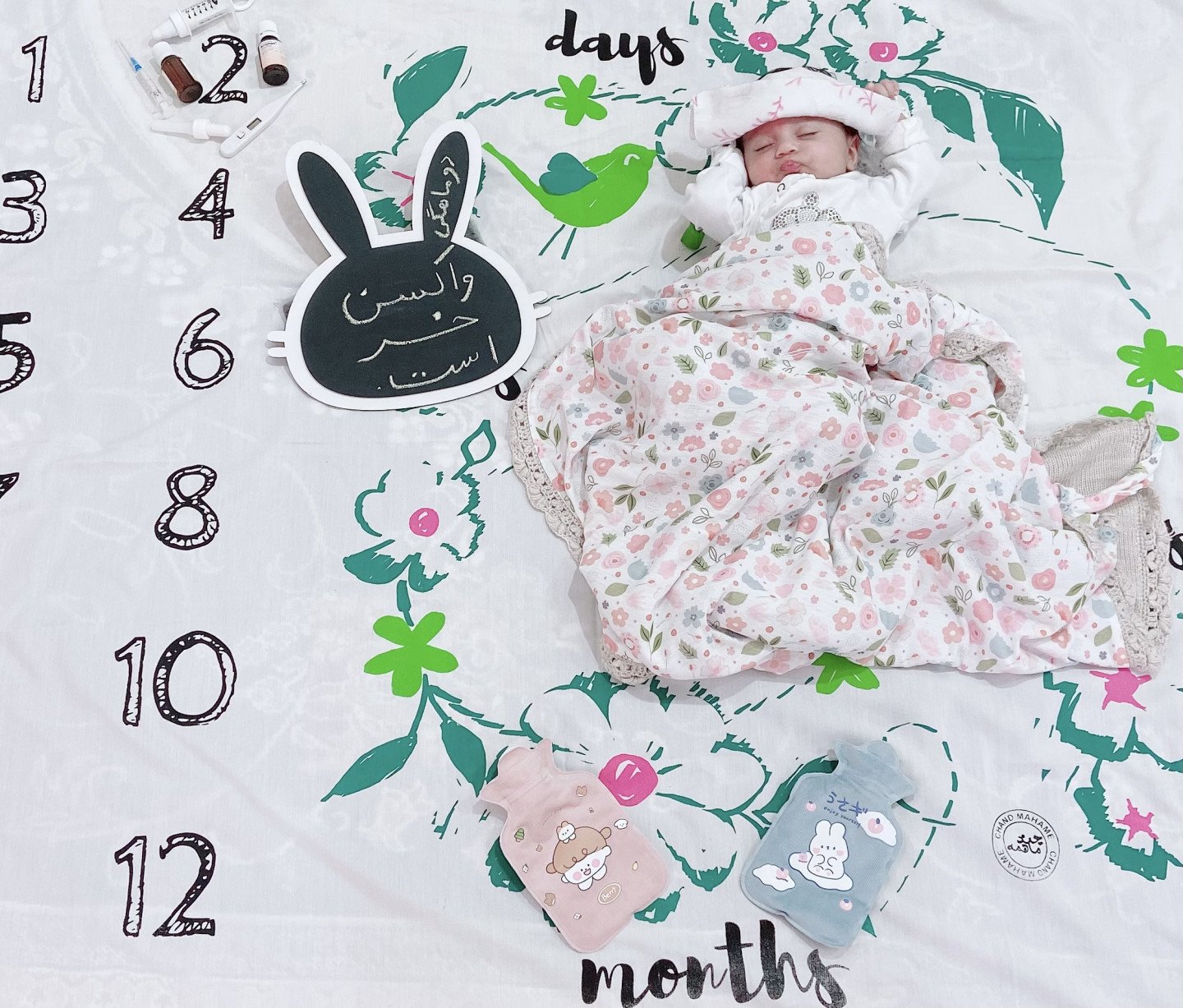 تخته-سیاه-خرگوشی-59372