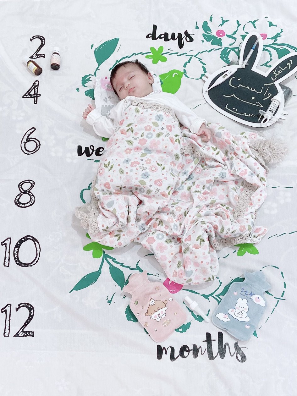 تخته-سیاه-خرگوشی-59373