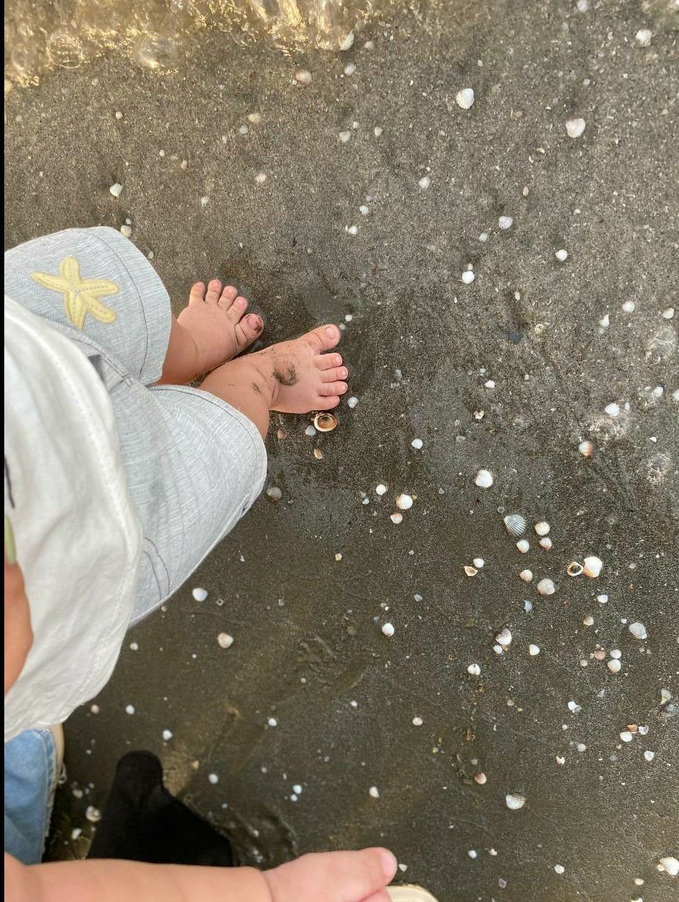 تابستون ارتا رشتبری