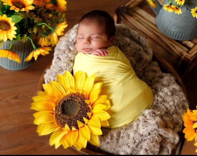 هشتگ-عکاسی عرفان