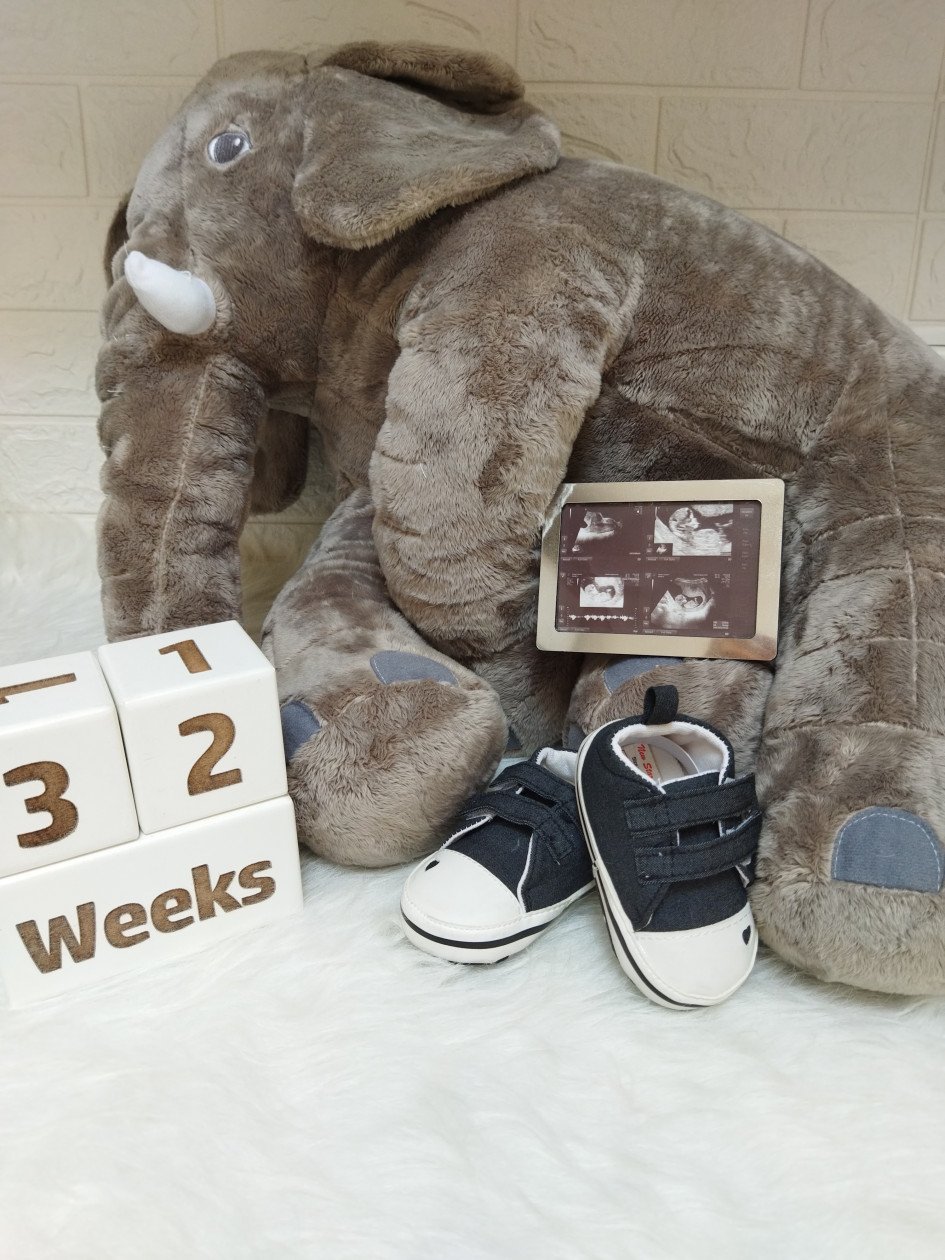 دفتر-داستان-بارداری-58061