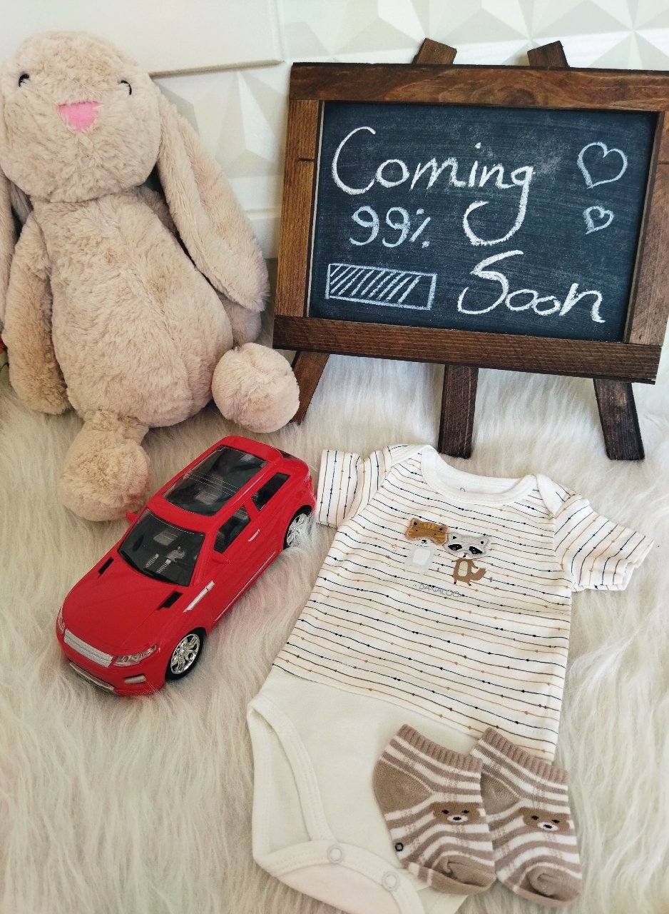 دفتر-داستان-بارداری-58065