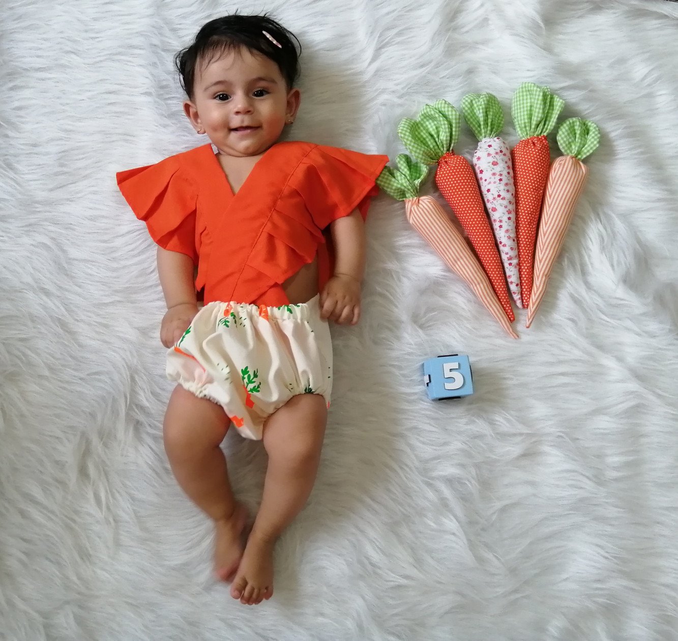 هویج پارچه‌ای دلوین احمدی