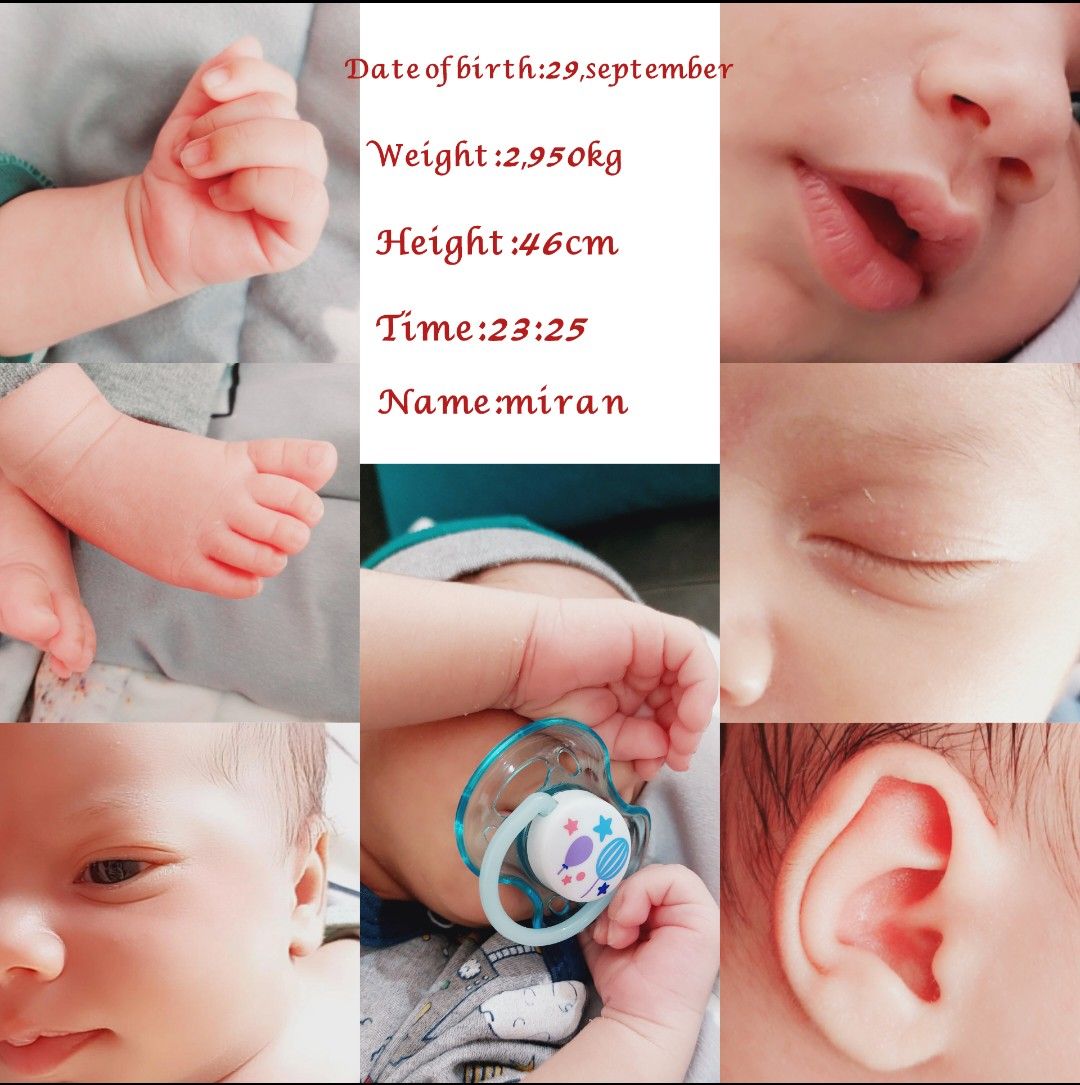 جهت-ایده میران اقتداری