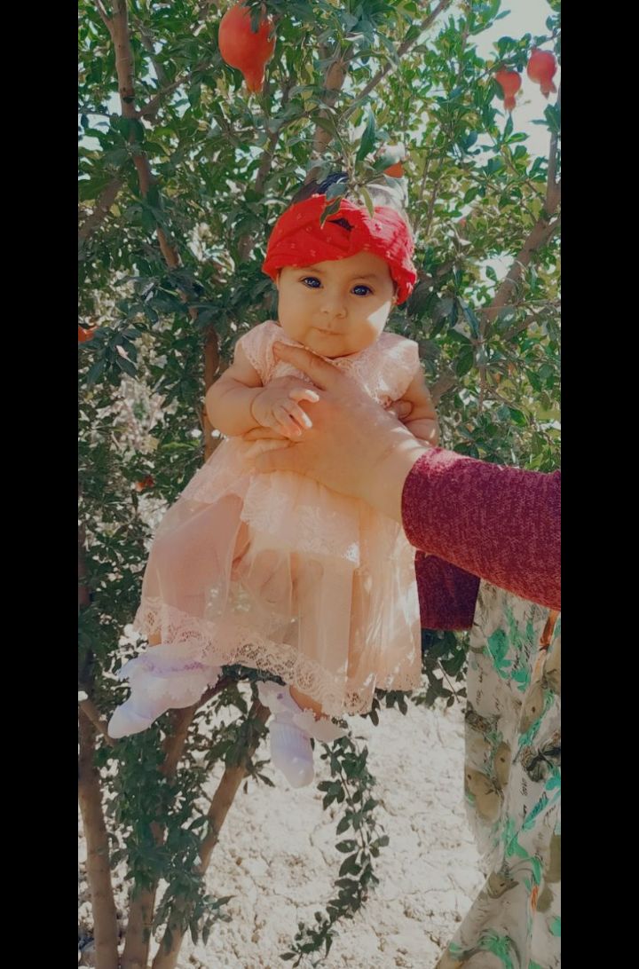 نفس-مامان-بابا صبا