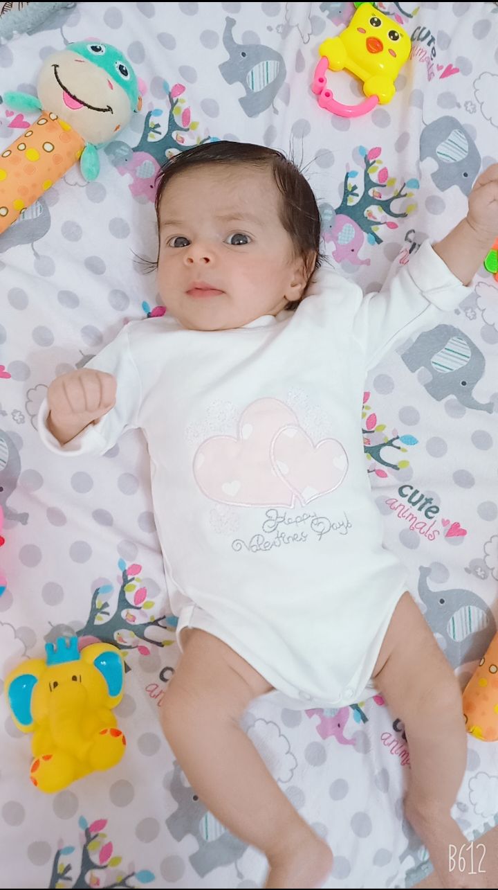 چهل روزگی نیلوفر گلزار