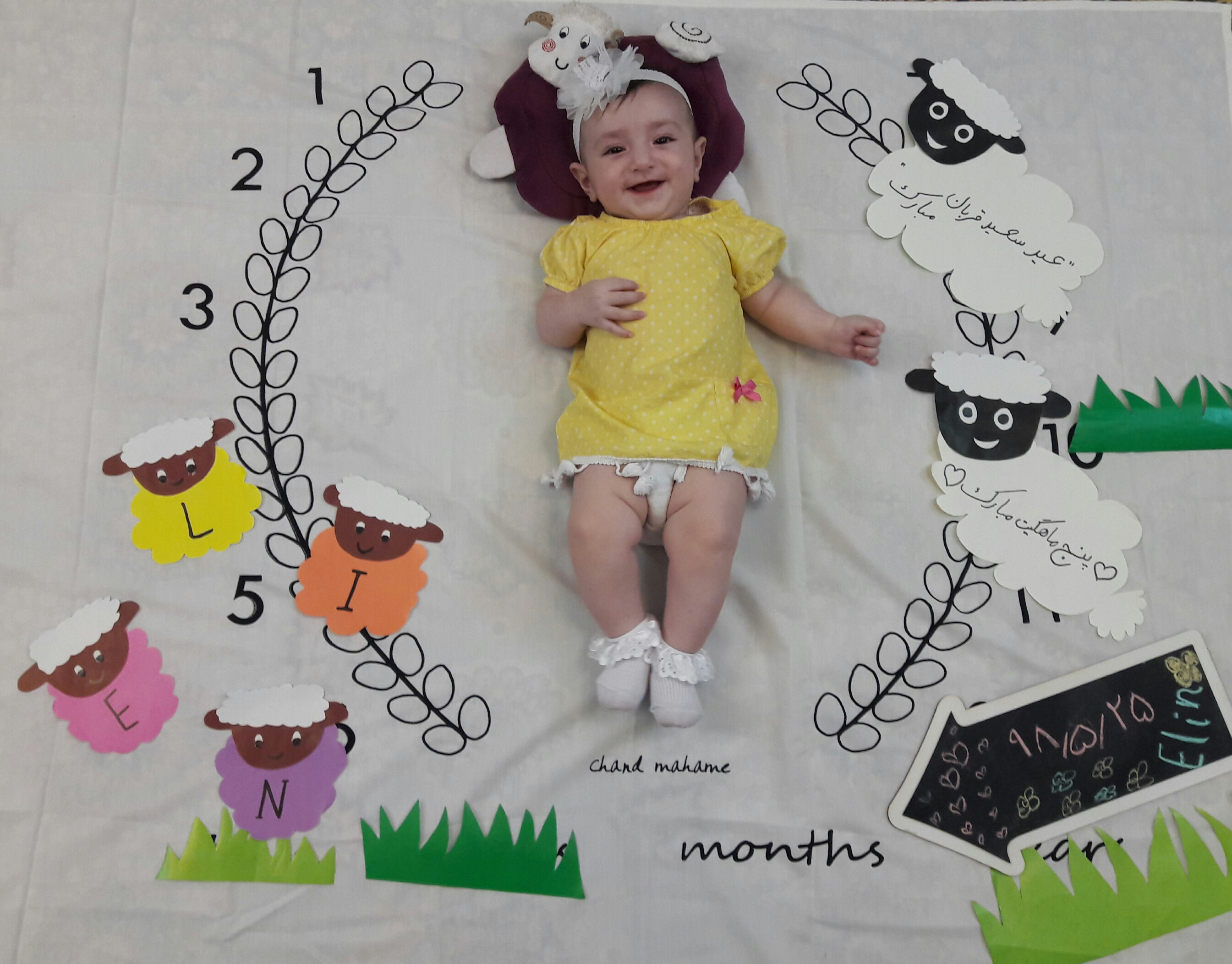 شروع غذای کمکی الین پوراحمد جوبنی