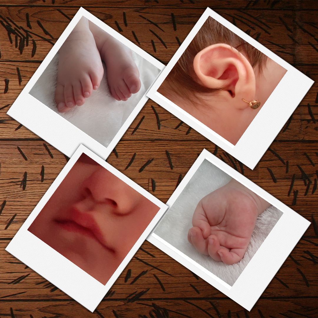 یازده ماهگی نوزاد الین پوراحمد جوبنی