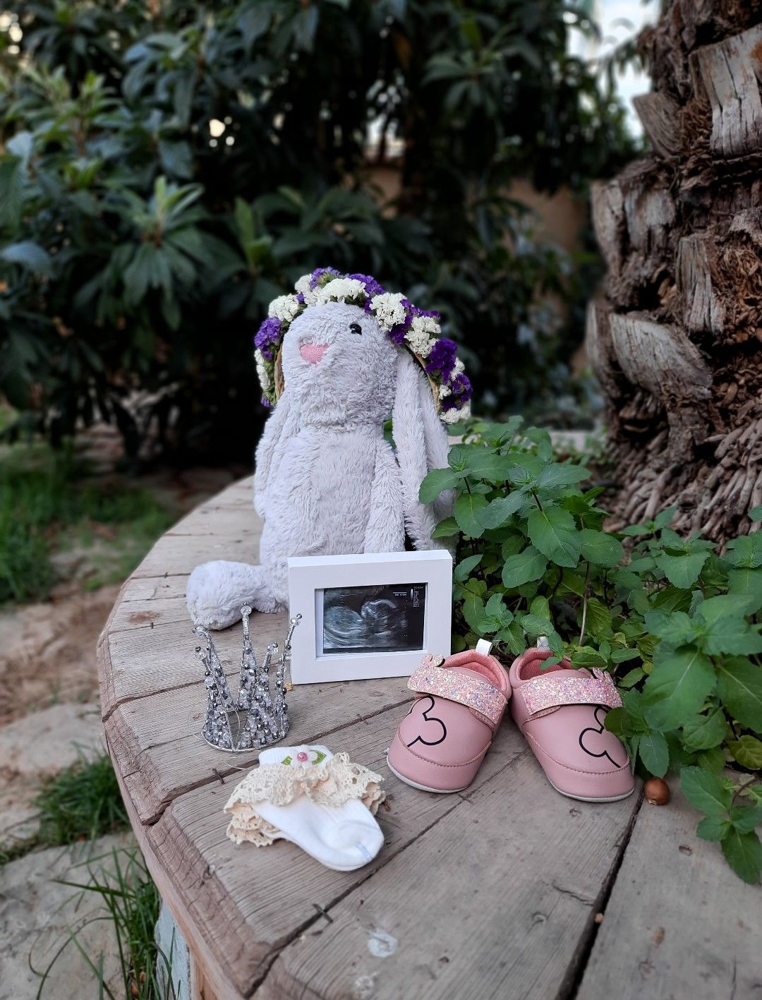 بارداری جانان بزرگ منش