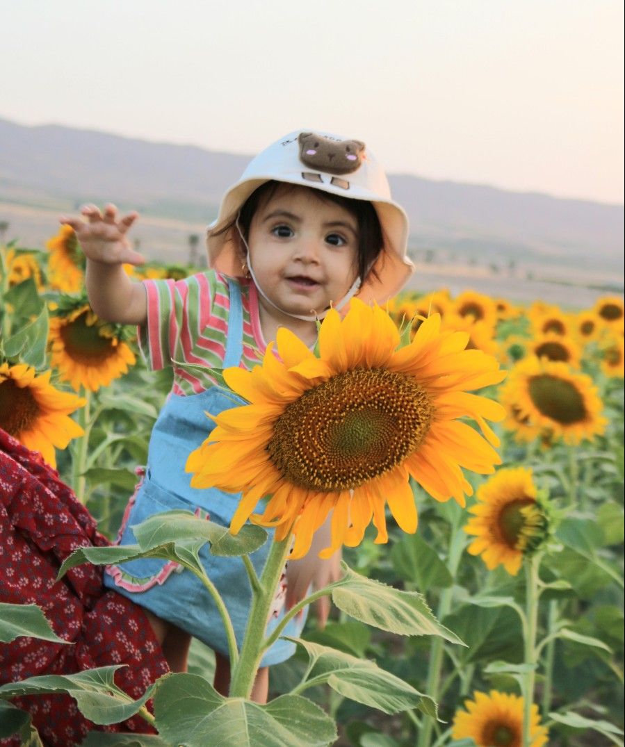 تم عکس تابستانی کودک جانان بزرگ منش