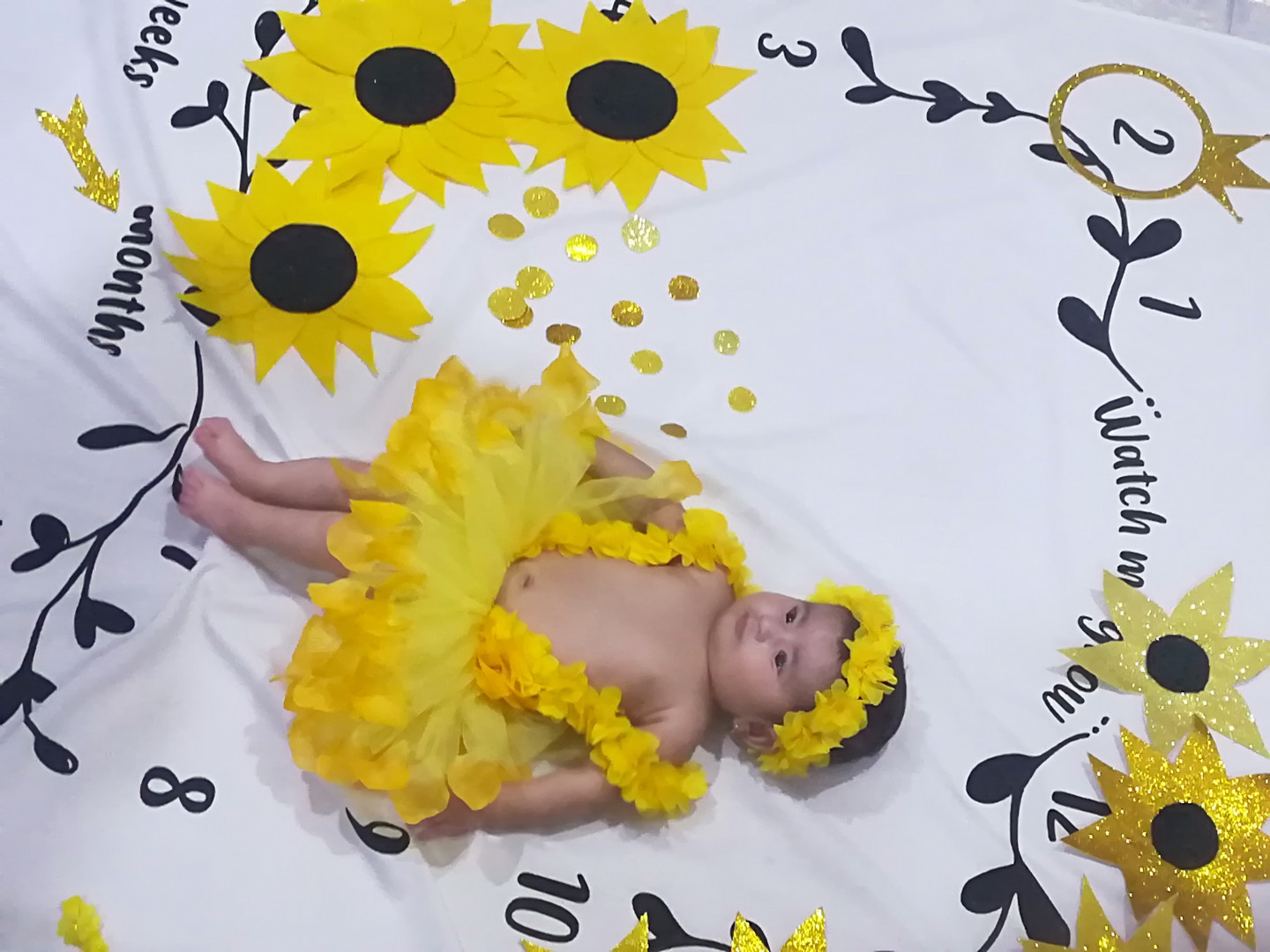 پارچه-ماهگرد-طرح-پتوس-62144