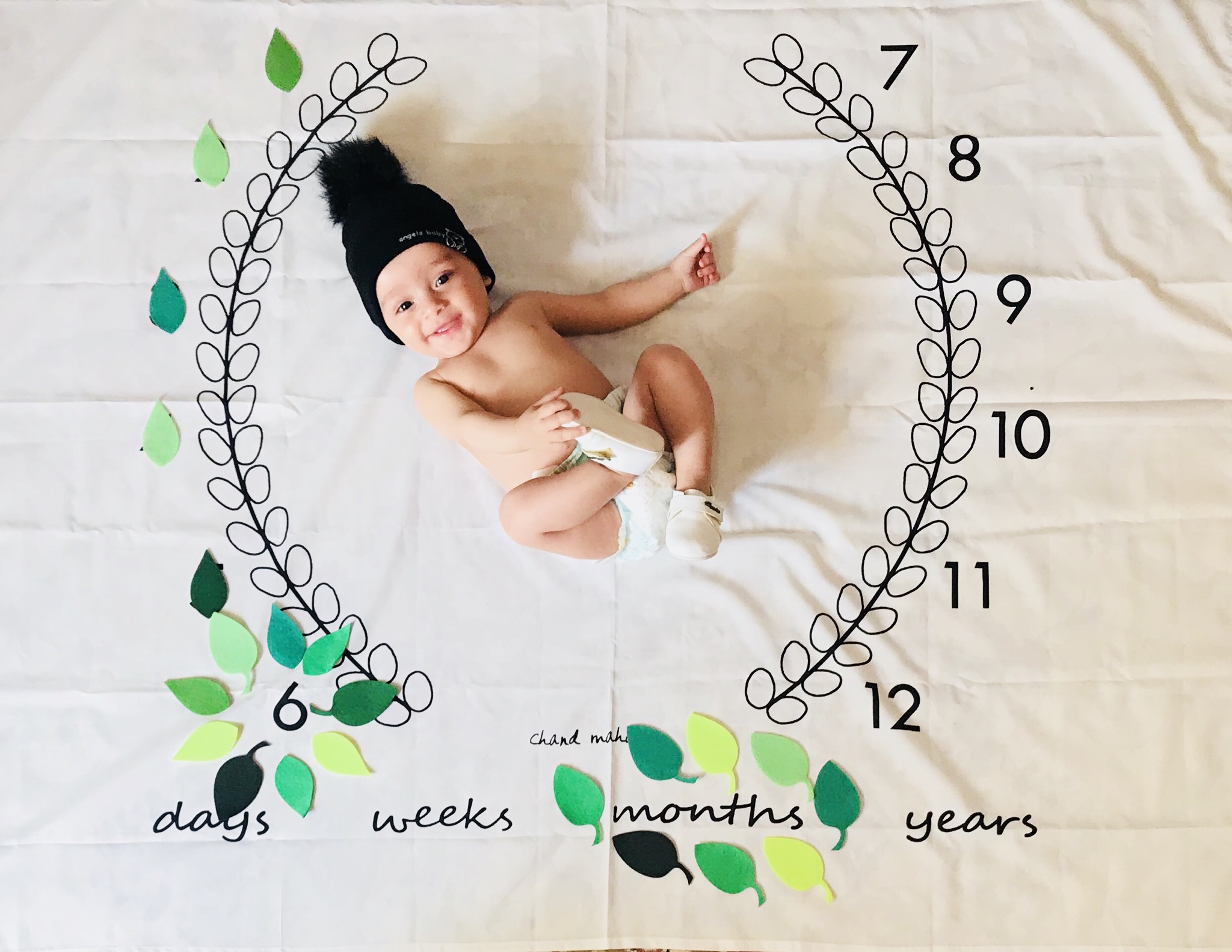 تم-و-تزیینات-نمدی-طرح-گل-و-برگ-4403