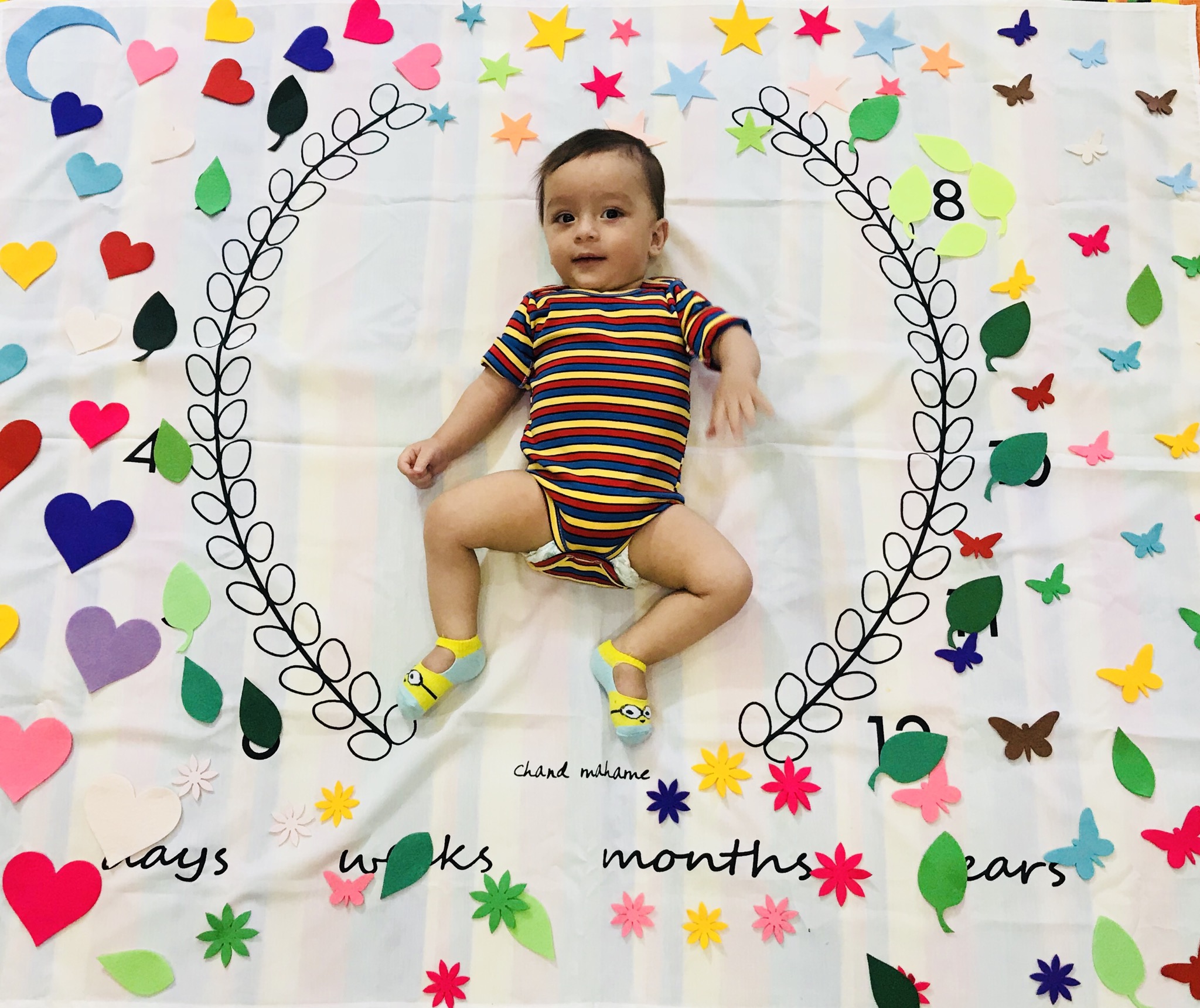 تم-و-تزیینات-نمدی-4407