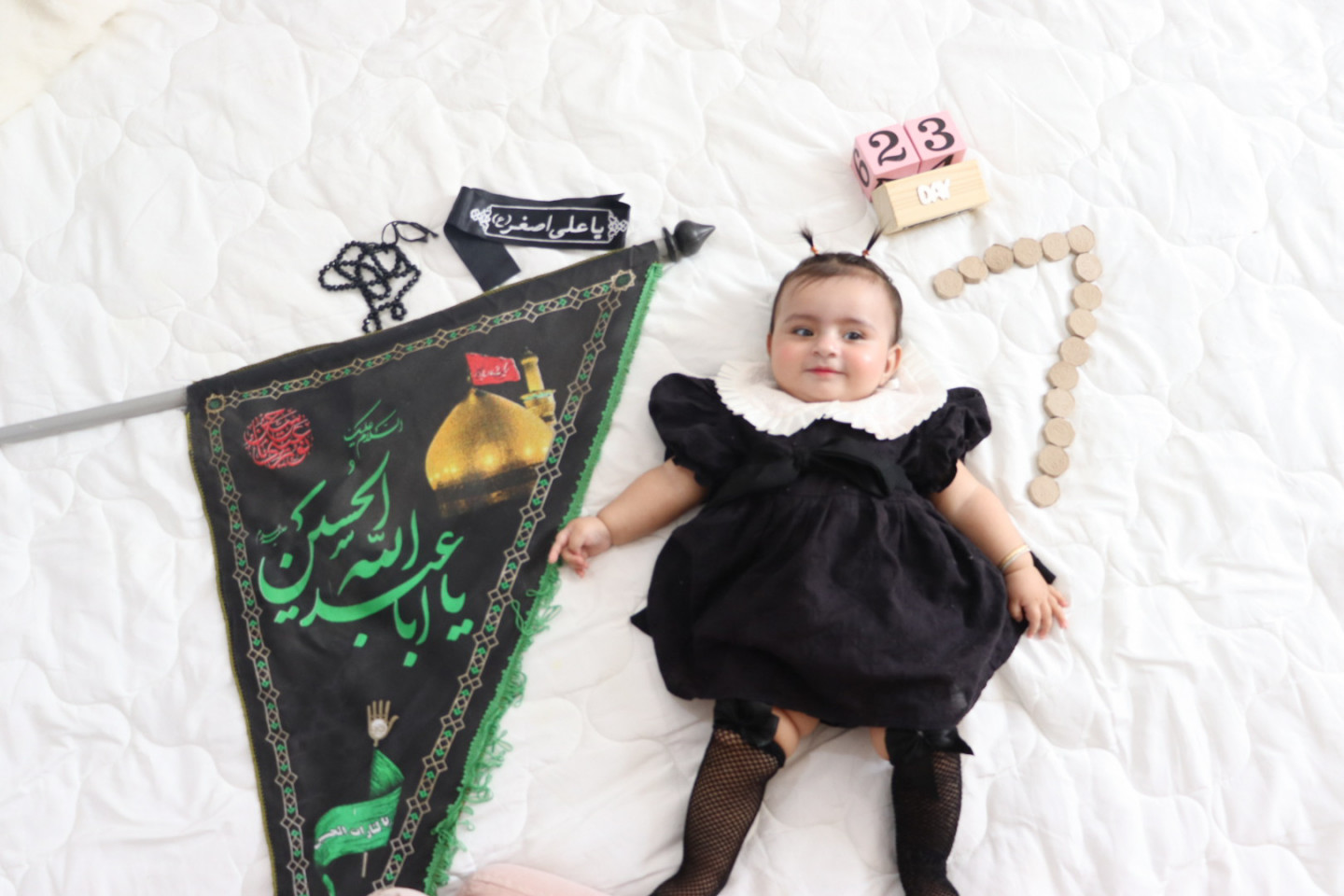 ایده نیلیا صدر