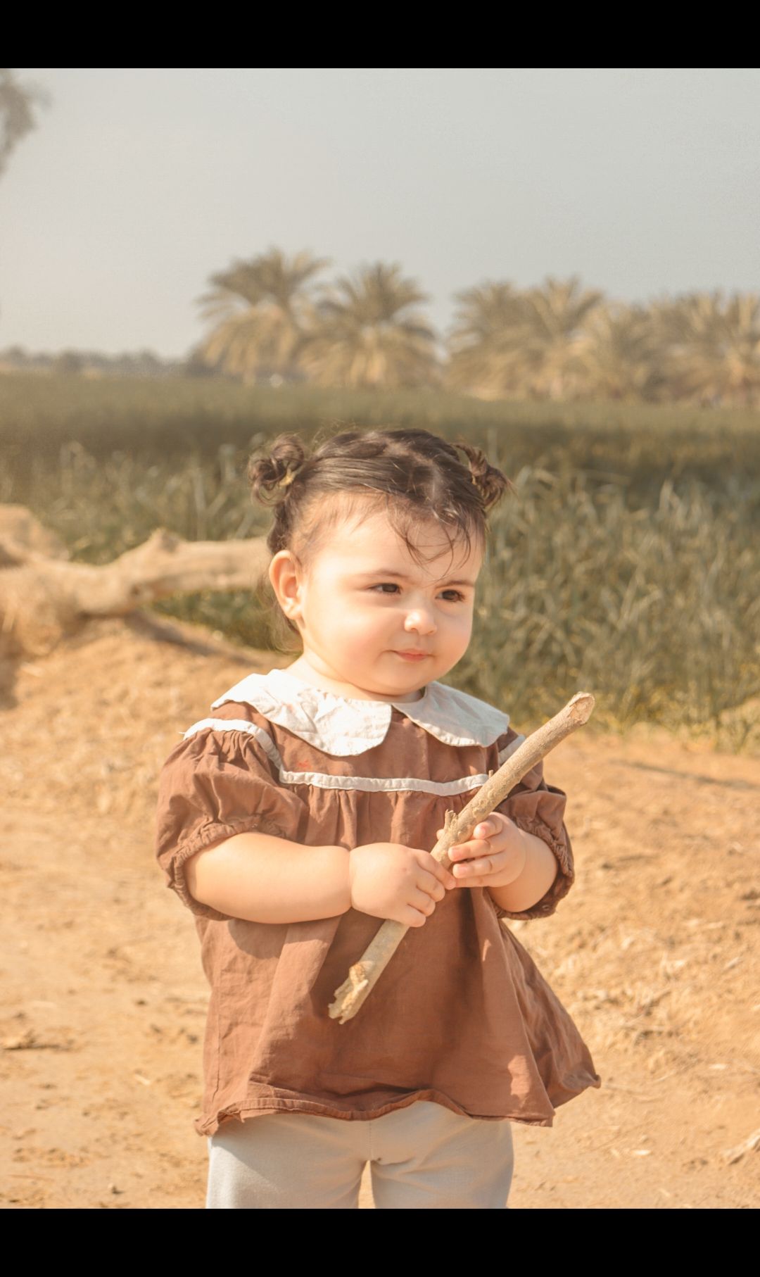 تم-پاییزی نیلیا صدر