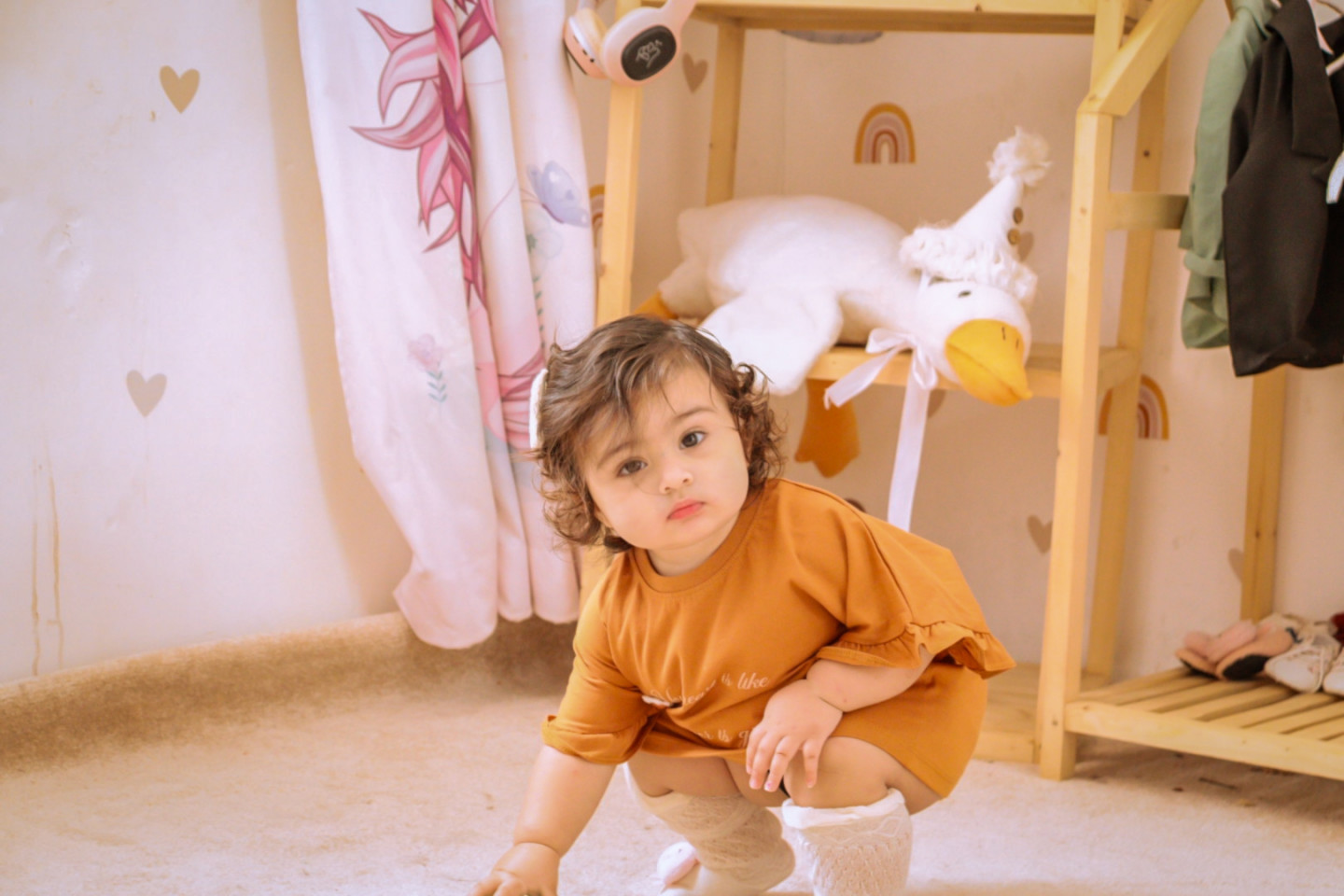 ایده نیلیا صدر