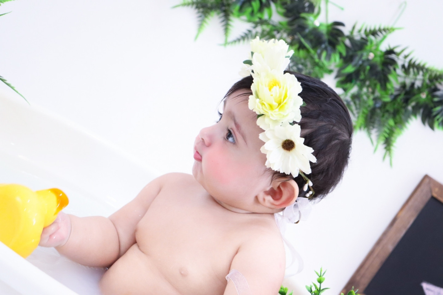 مسابقه تابستان نیلیا صدر