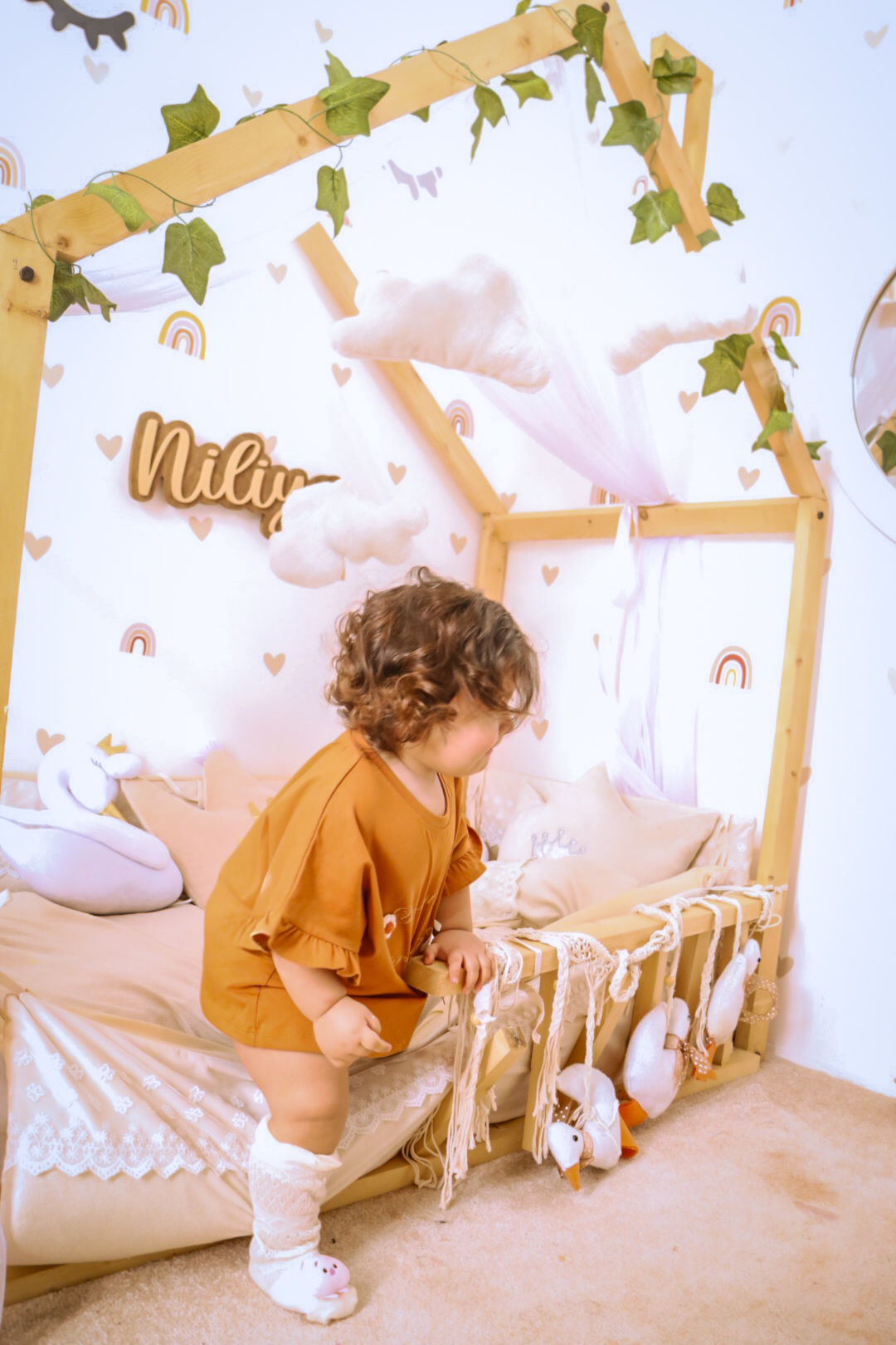 ایده نیلیا صدر