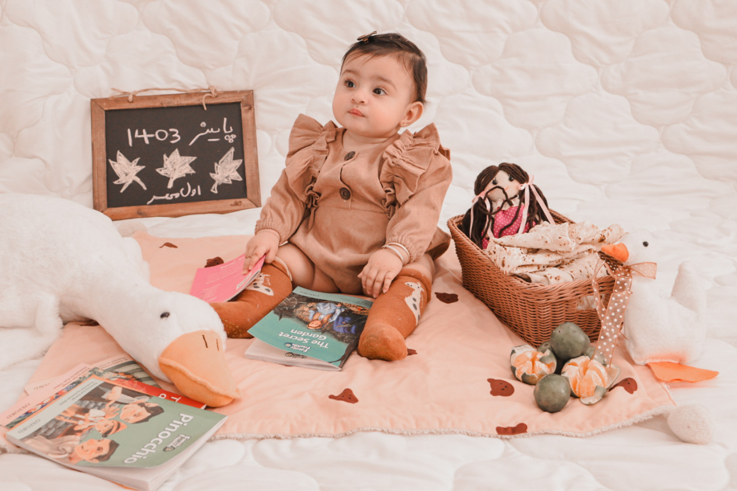 ایده نیلیا صدر