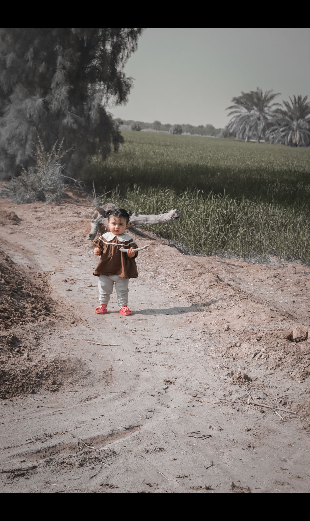 هشتک-عکاسی نیلیا صدر