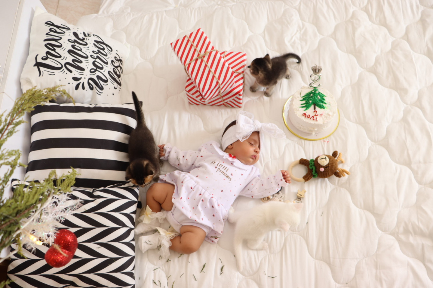 دو ماهگی نوزاد نیلیا صدر