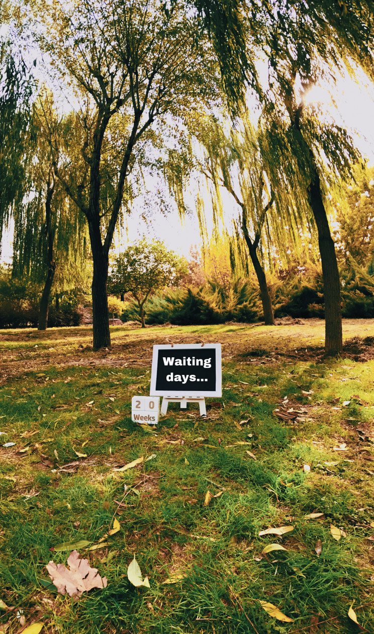 بارداری دلارام لطفي